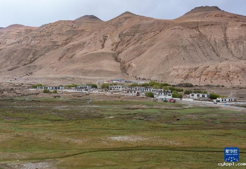 珠峰脚下的绿色生机