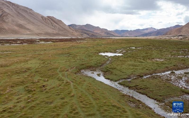 珠峰脚下的绿色生机