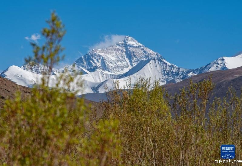 珠峰脚下的绿色生机