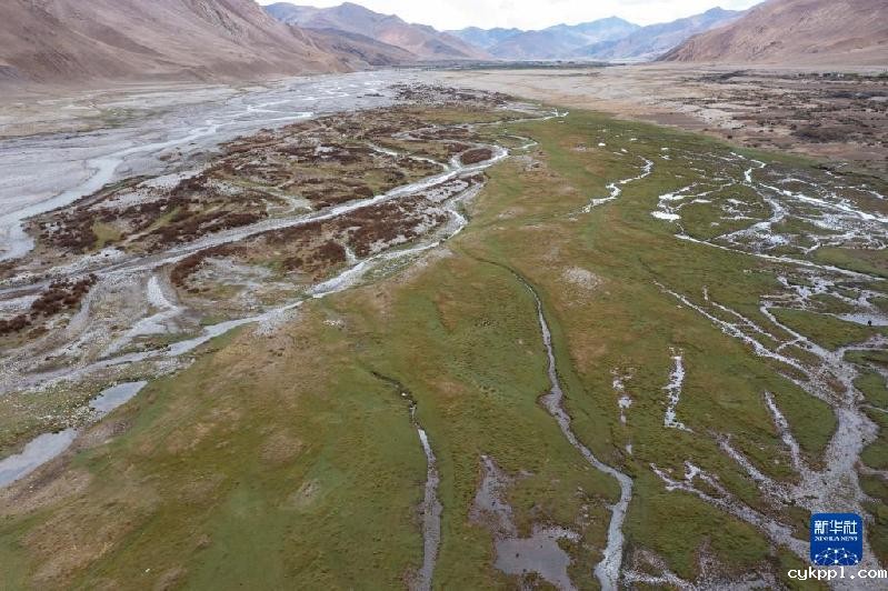 珠峰脚下的绿色生机