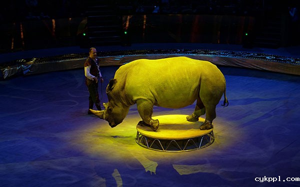 袁明辉 国际著名微距摄影师