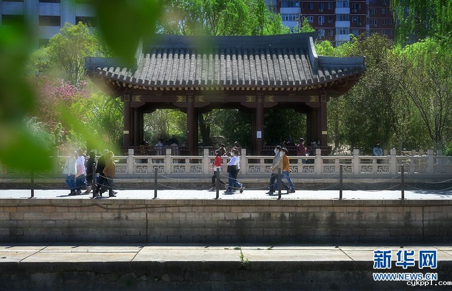 【光影轻课堂】如何运用线条增加摄影美感？