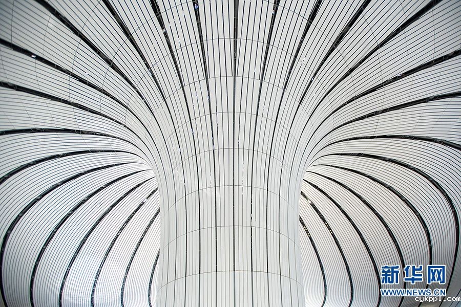 【光影轻课堂】如何运用线条增加摄影美感？