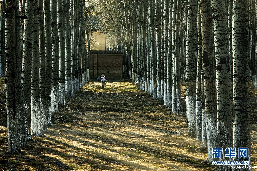 【光影轻课堂】如何运用线条增加摄影美感？