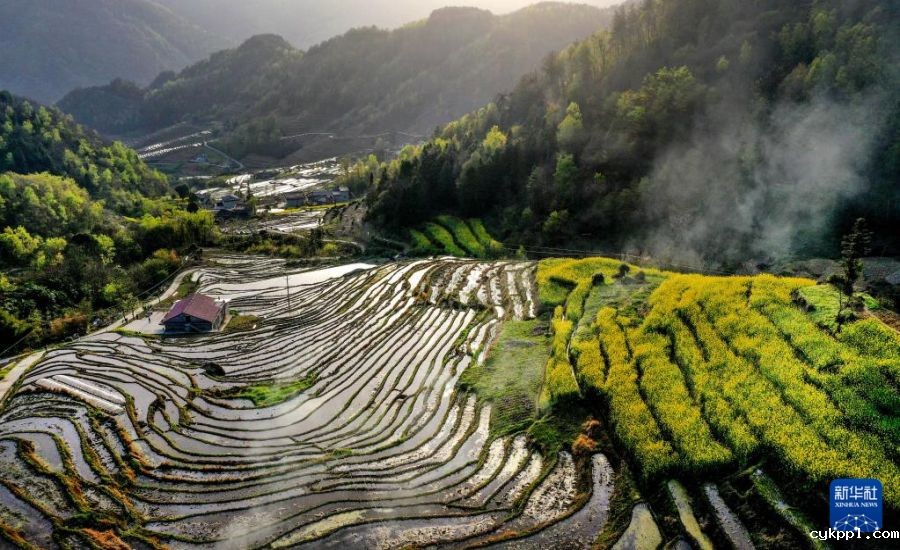 陕西岚皋千亩古梯田探访记