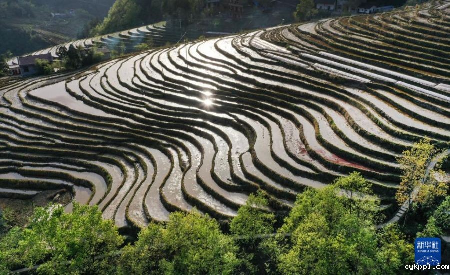 陕西岚皋千亩古梯田探访记