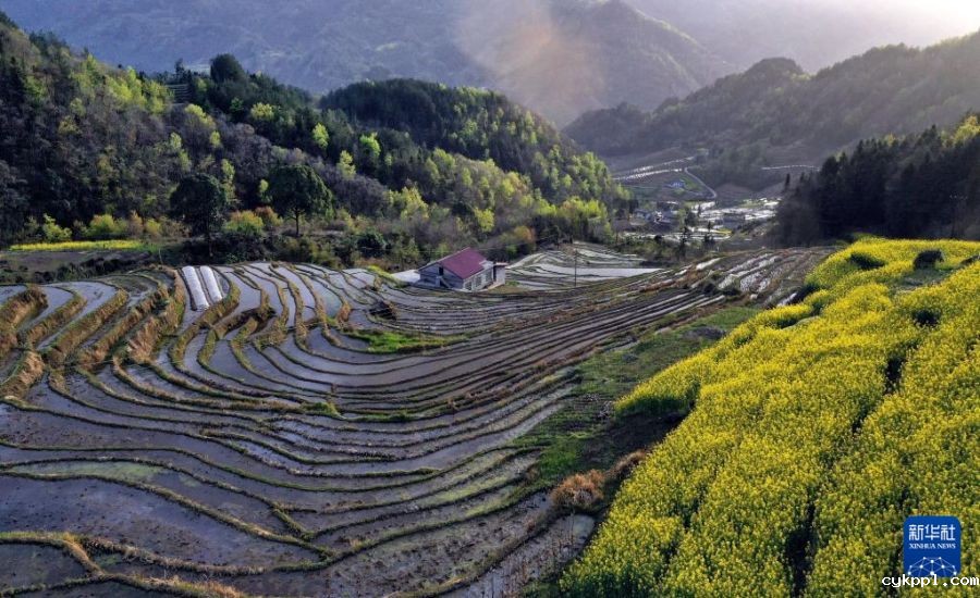 陕西岚皋千亩古梯田探访记