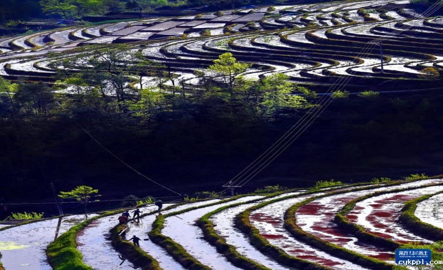 陕西岚皋千亩古梯田探访记