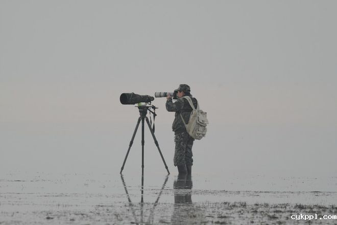 “江豚卫士”：一位中国生态摄影家的十年坚守