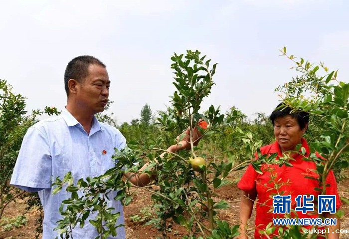 李健当选“出彩河南人”感动中原年度人物