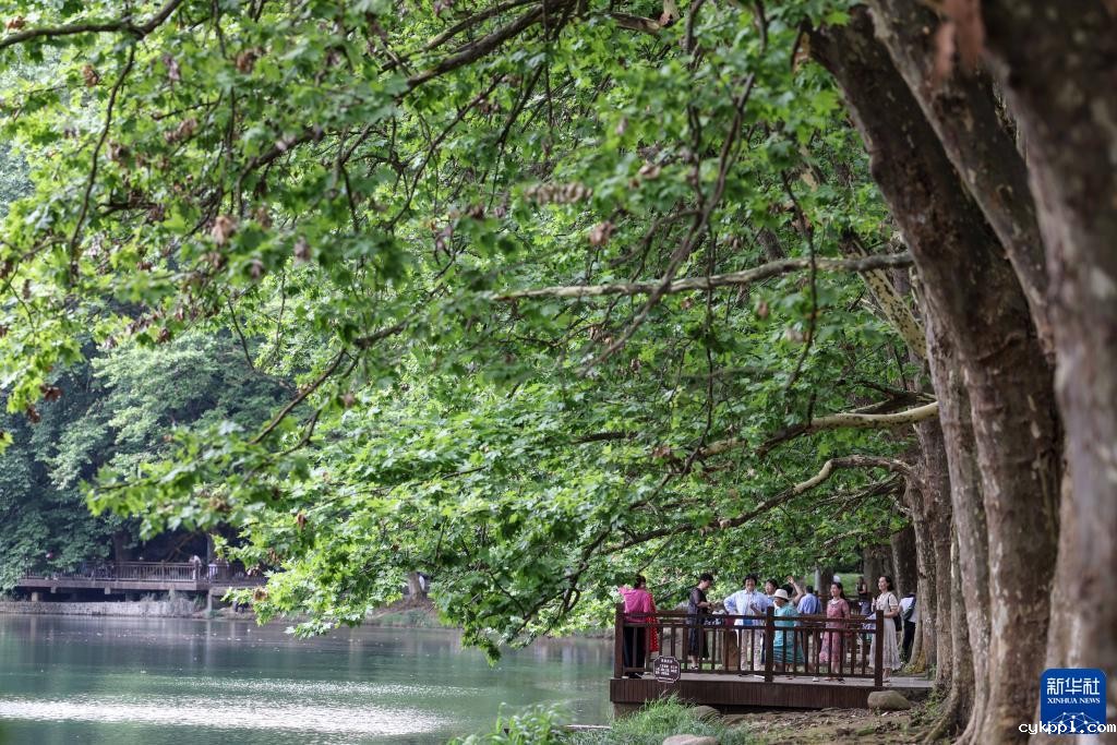 贵阳：夏日黄金大道景如画
