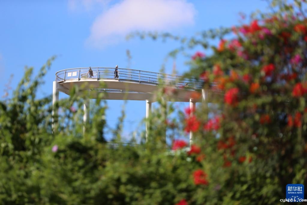 福建厦门：漫步山水间