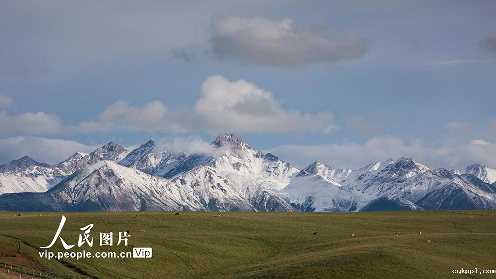甘肃山丹马场：雨后草原风光如画