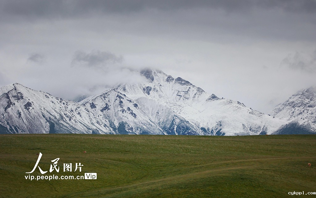 甘肃山丹马场：雨后草原风光如画