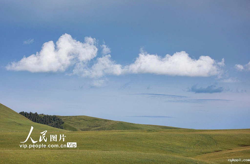 甘肃山丹马场：雨后草原风光如画