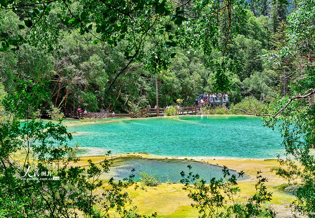 四川九寨沟：全域旅游发展形成新格局