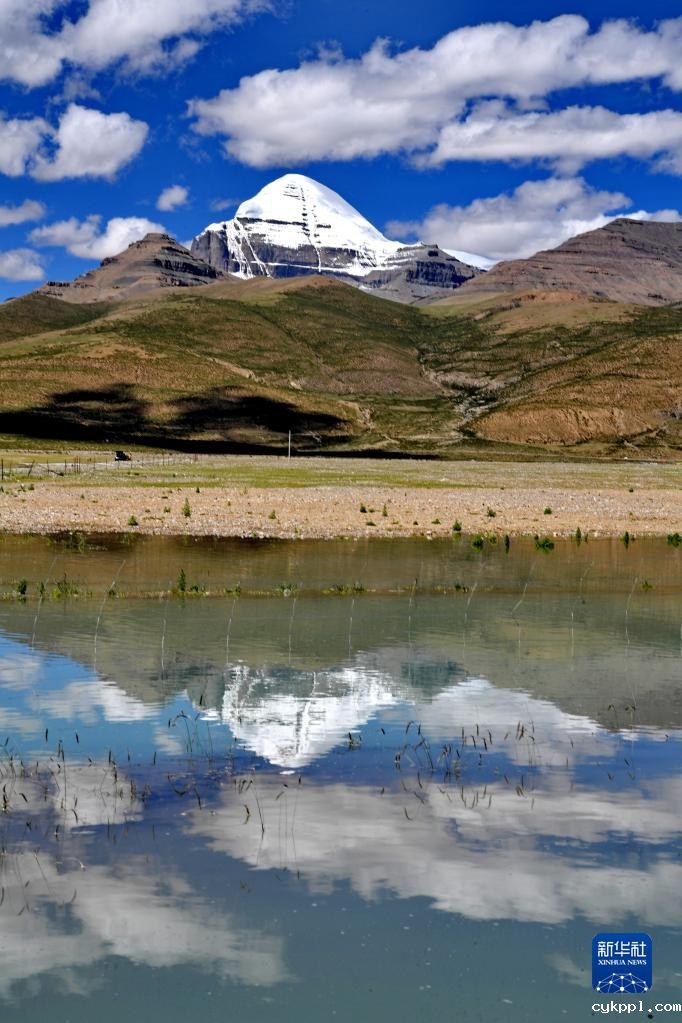 西藏阿里:高原夏日生机盎然
