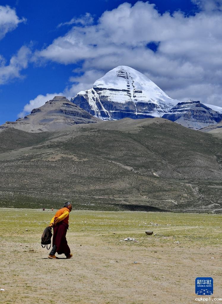 西藏阿里:高原夏日生机盎然