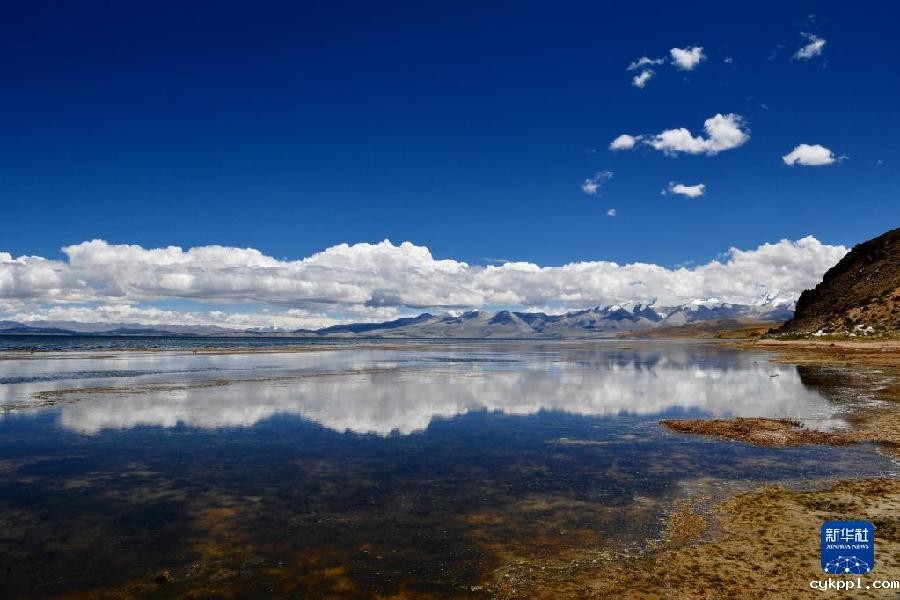 西藏阿里:高原夏日生机盎然