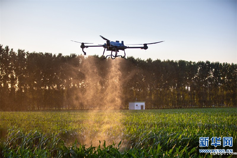 无人机植保显身手