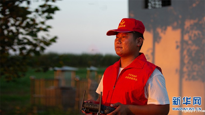 无人机植保显身手