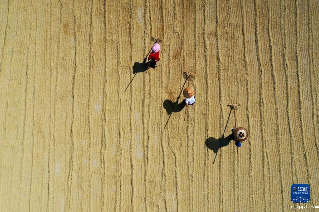 新华全媒+丨贵州高原五彩缤纷的晒秋图