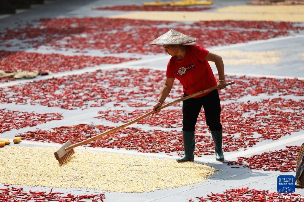 新华全媒+丨贵州高原五彩缤纷的晒秋图