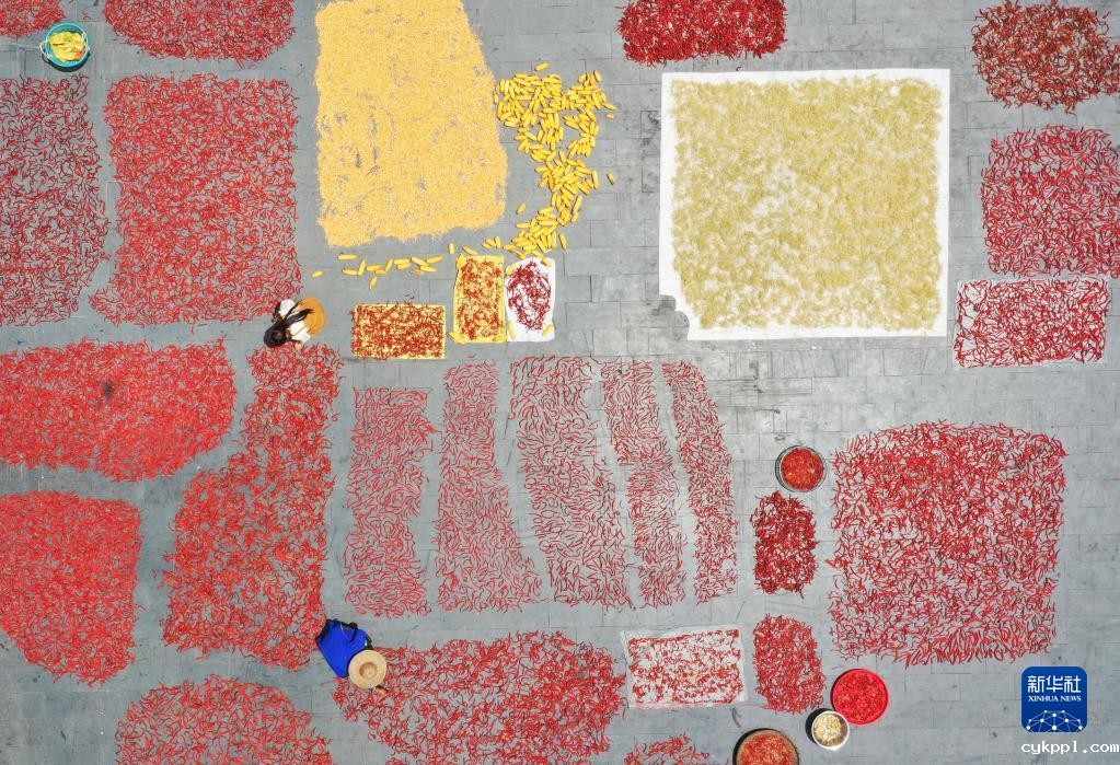 新华全媒+丨贵州高原五彩缤纷的晒秋图