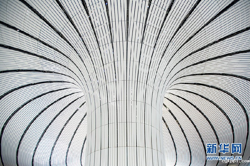 【光影轻课堂】如何运用线条增加摄影美感？