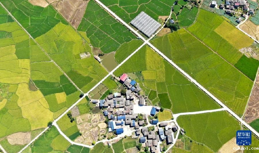 初秋田园景如画