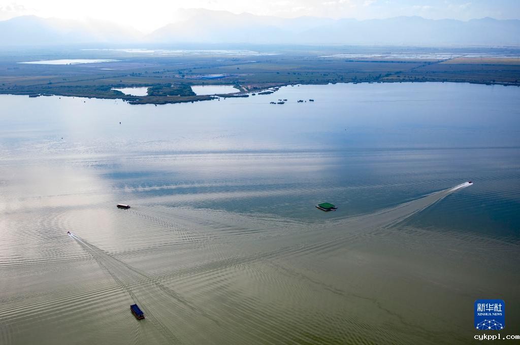 宁夏沙湖 碧波万顷