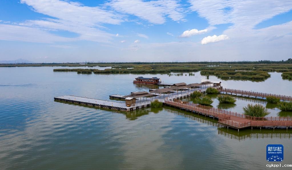 宁夏沙湖 碧波万顷