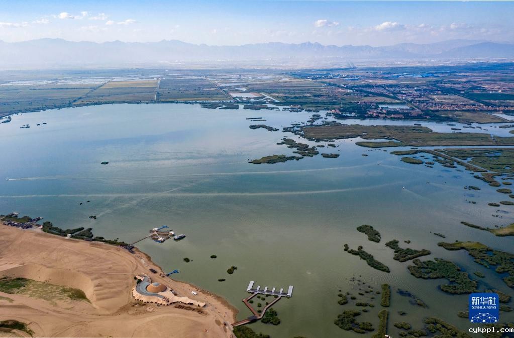 宁夏沙湖 碧波万顷