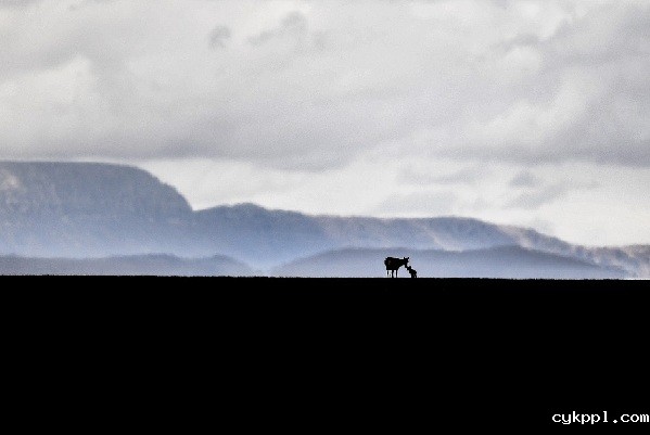 高原摄影诗人普布扎西 那人生最美好的时光