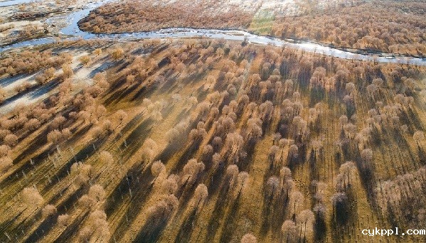 高原摄影诗人普布扎西 那人生最美好的时光