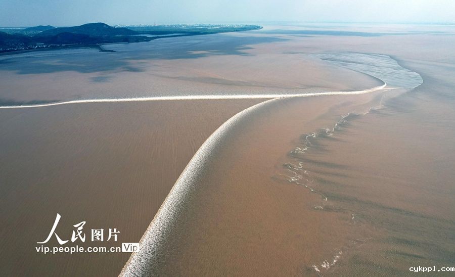 浙江海宁:钱塘秋汛“交叉潮” 浙江海宁:钱塘秋汛“交叉潮”