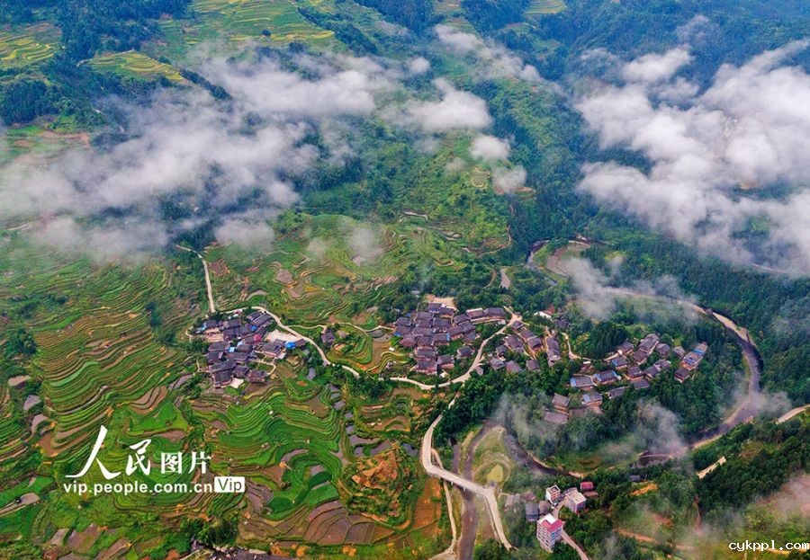 广西融水:初秋梯田“丰”景美 广西融水:初秋梯田“丰”景美