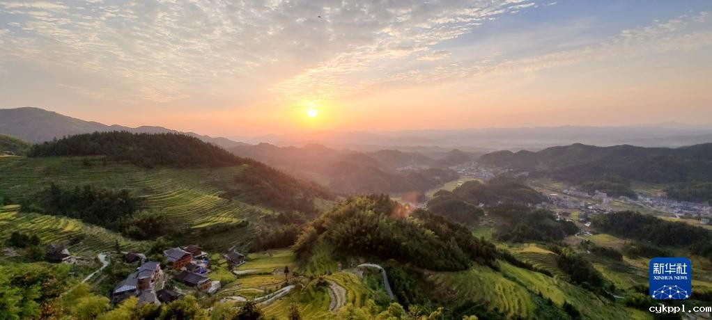 紫鹊界梯田稻浪翻金