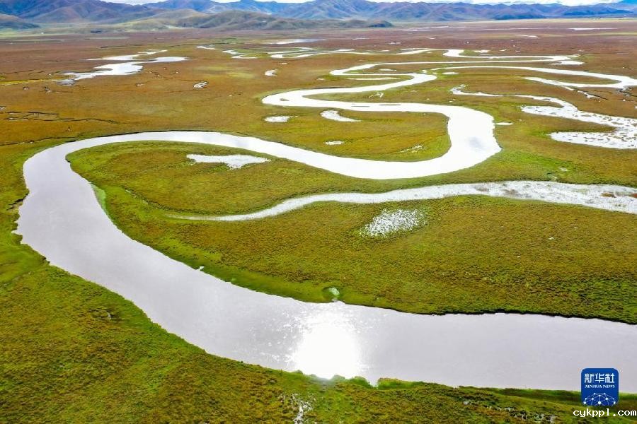 美丽的高原湿地阿万仓