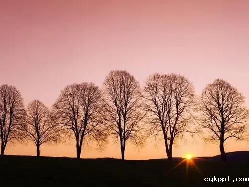掌握这些摄影技巧，手机也能拍大片