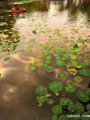 掌握这些摄影技巧，手机也能拍大片