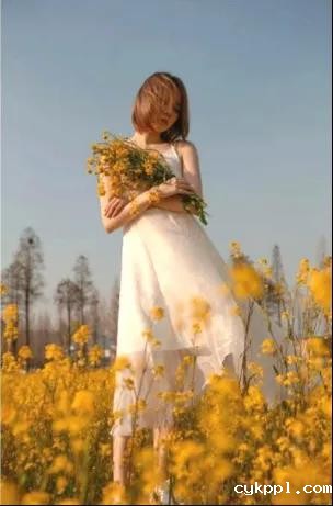 掌握这些摄影技巧，手机也能拍大片