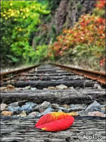 掌握这些摄影技巧，手机也能拍大片