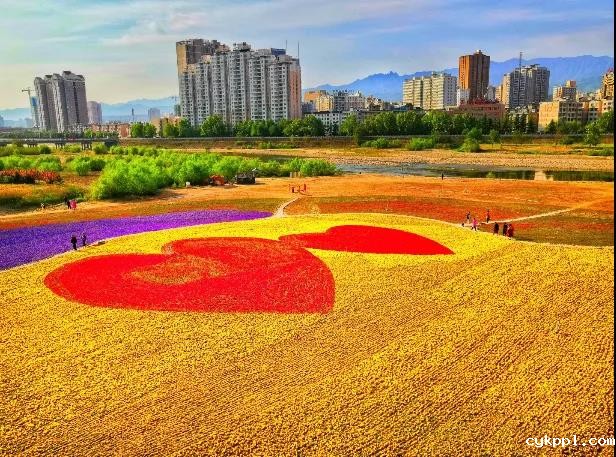 掌握这些摄影技巧，手机也能拍大片