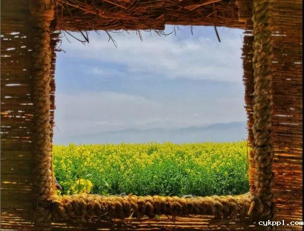 掌握这些摄影技巧，手机也能拍大片