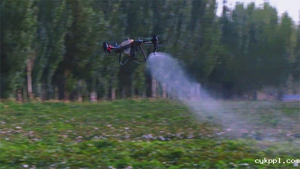 轮台县：无人机植保助力“三秋工作”增产增收