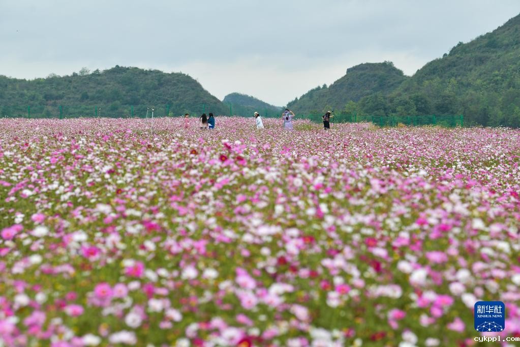 贵州花溪：农旅融合促振兴