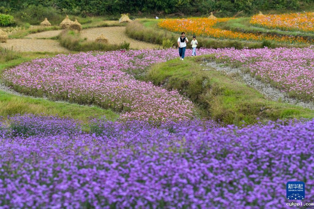 贵州花溪：农旅融合促振兴