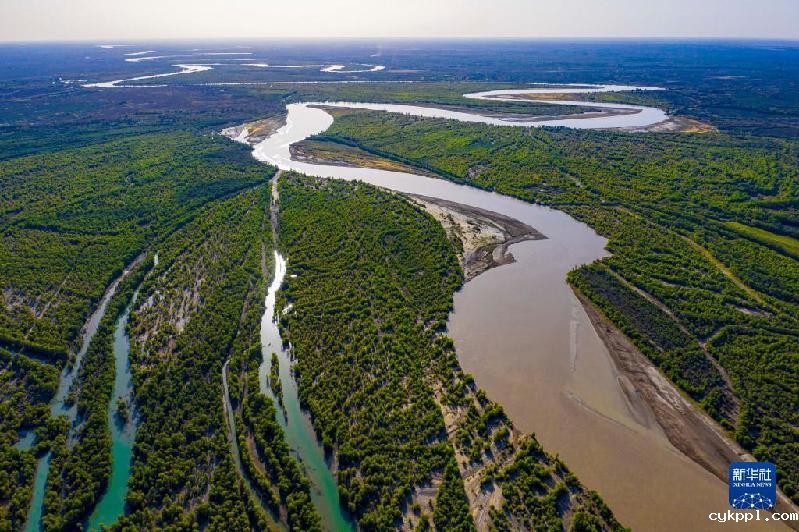 江河奔腾看中国丨塔里木河：沙漠中的绿色走廊