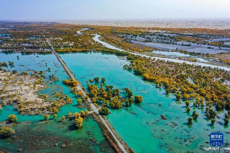 江河奔腾看中国丨塔里木河：沙漠中的绿色走廊